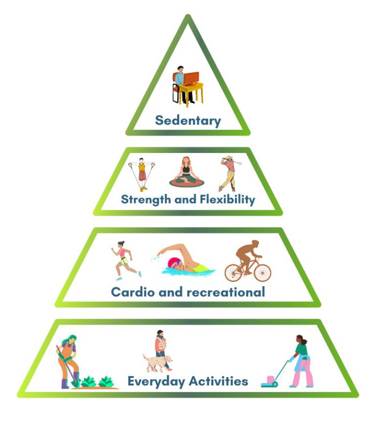 What is the physical activity pyramid complete wellness solutions
